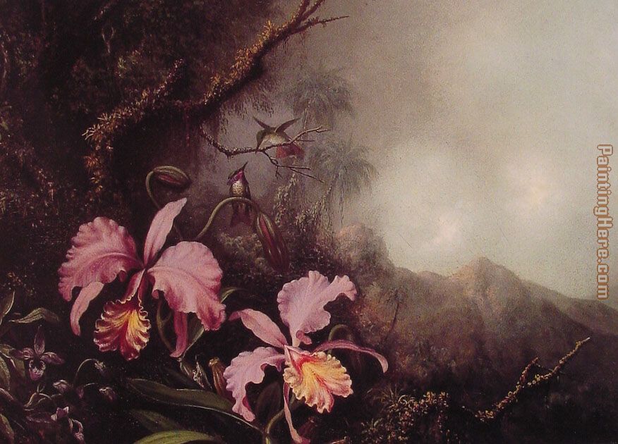 Two Orchids in a Mountain Landscape painting - Martin Johnson Heade Two Orchids in a Mountain Landscape art painting